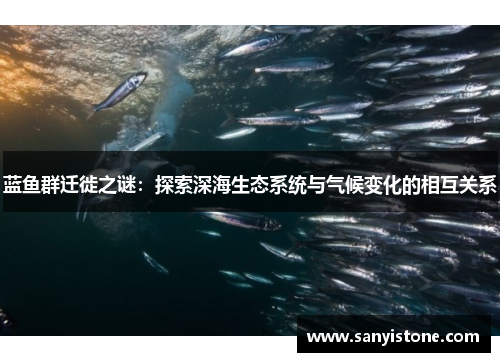 蓝鱼群迁徙之谜：探索深海生态系统与气候变化的相互关系